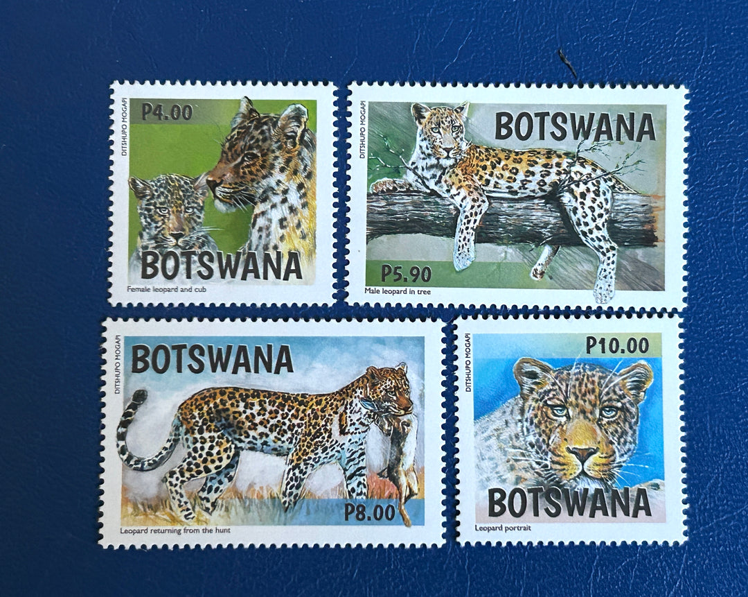 Botswana Sc 806-9 2005 Black Footed Car (fauna) MNH**