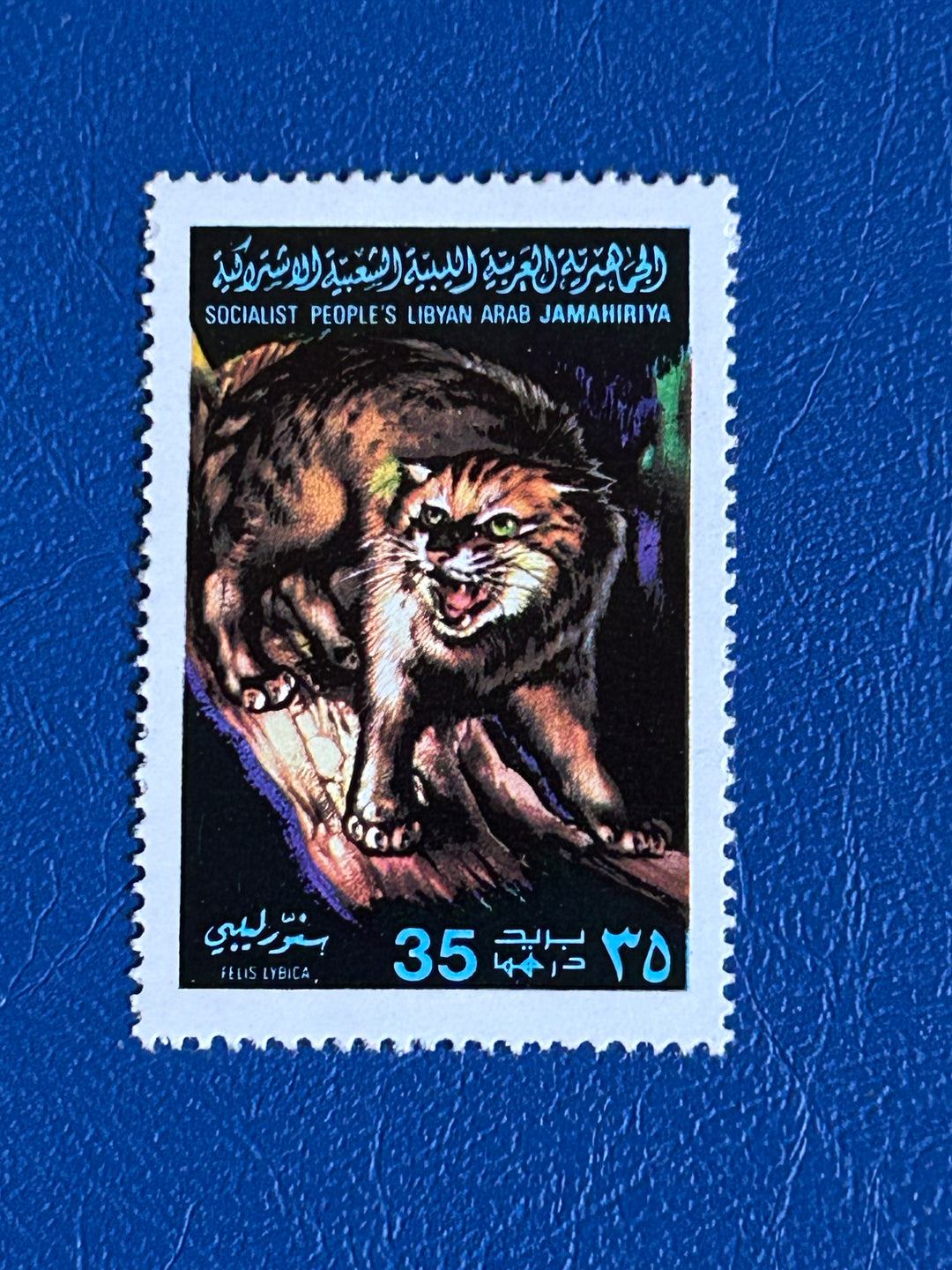 Libya - 1979 - African Wild Cat (fauna) - MNH**