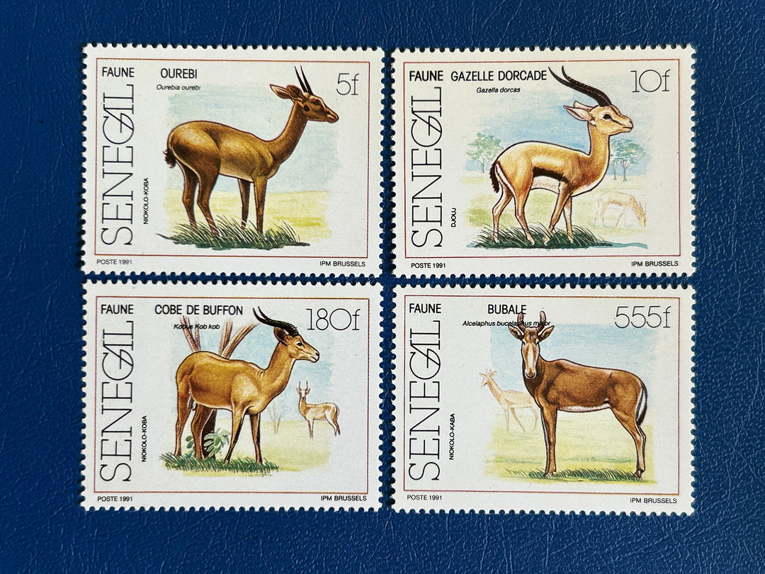 Senegal - 1991 - Antelopes (fauna)-  MNH**