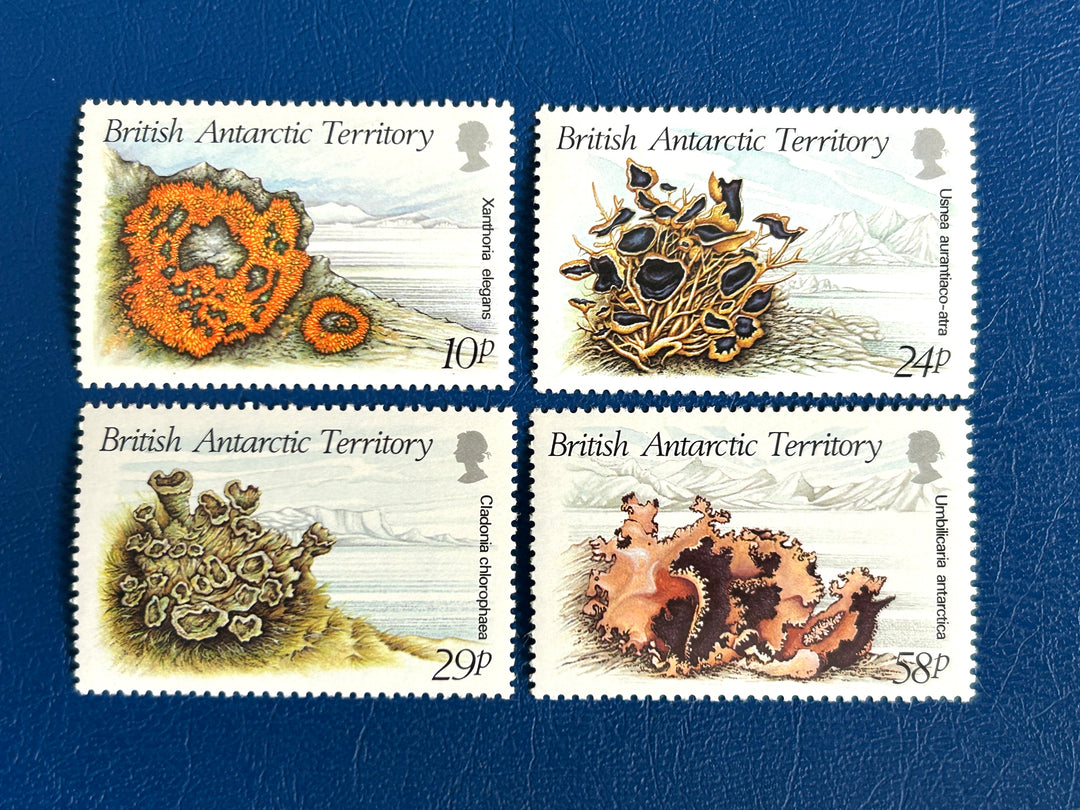 British Antarctic Territory - 1989 - Lichens - MNH**