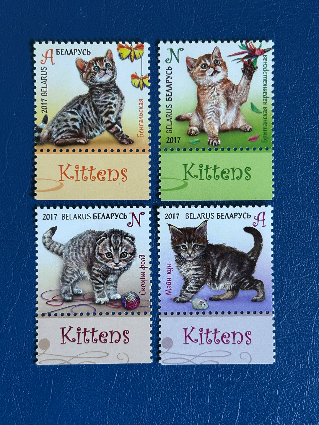 Belarus Sc 1026-9 2017 Kittens (fauna) MNH**