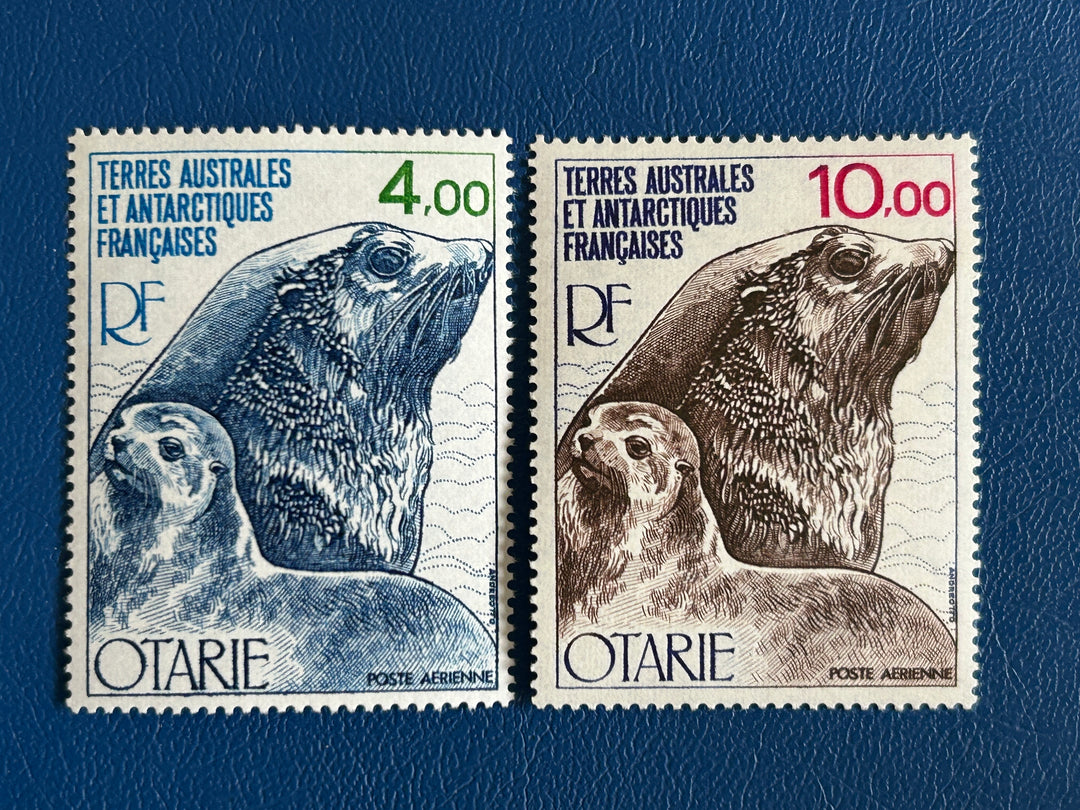 French Southern & Antarctic Lands - 1977 - Kerguelen Seal (Fauna) - MNH**