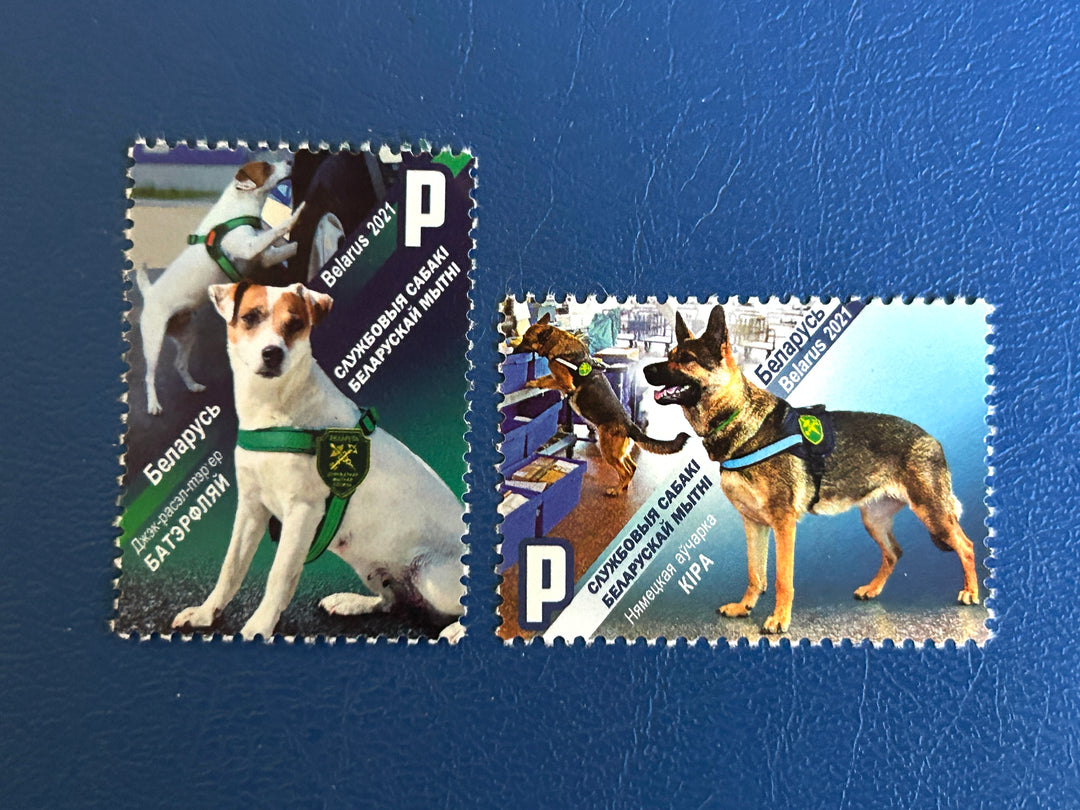 Belarus Sc 1258-9 2021 Service Dogs (fauna) MNH**