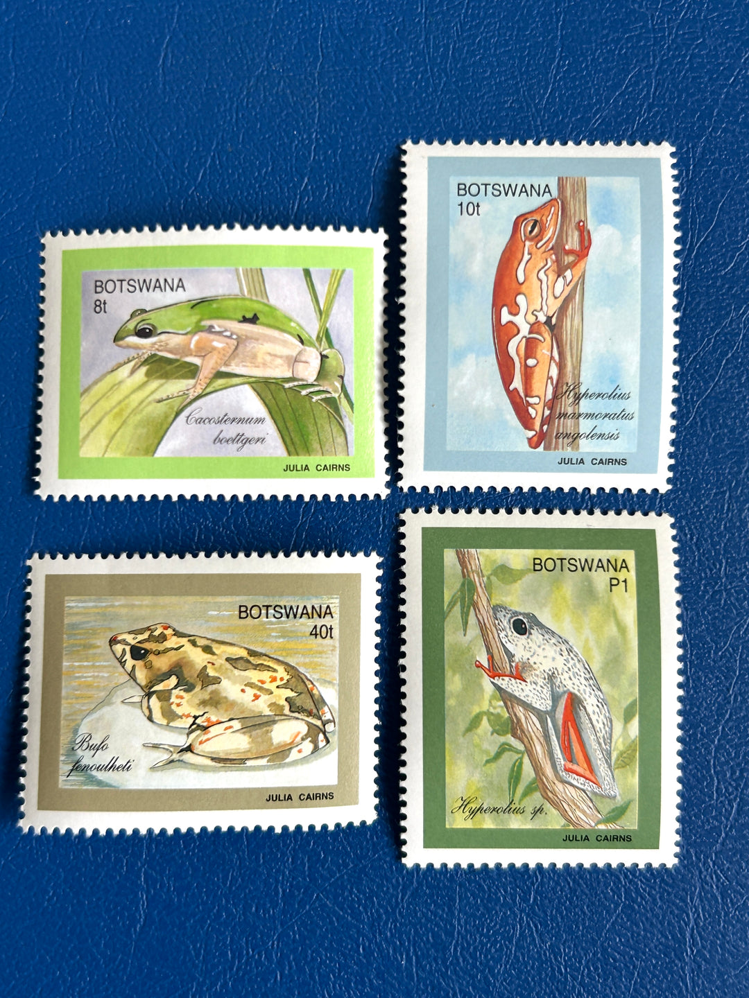 Botswana - 1993 - Frogs (Fauna) - MNH**