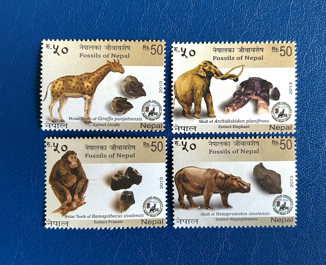 Nepal - 2013 - Fossils of Nepal -  MNH**