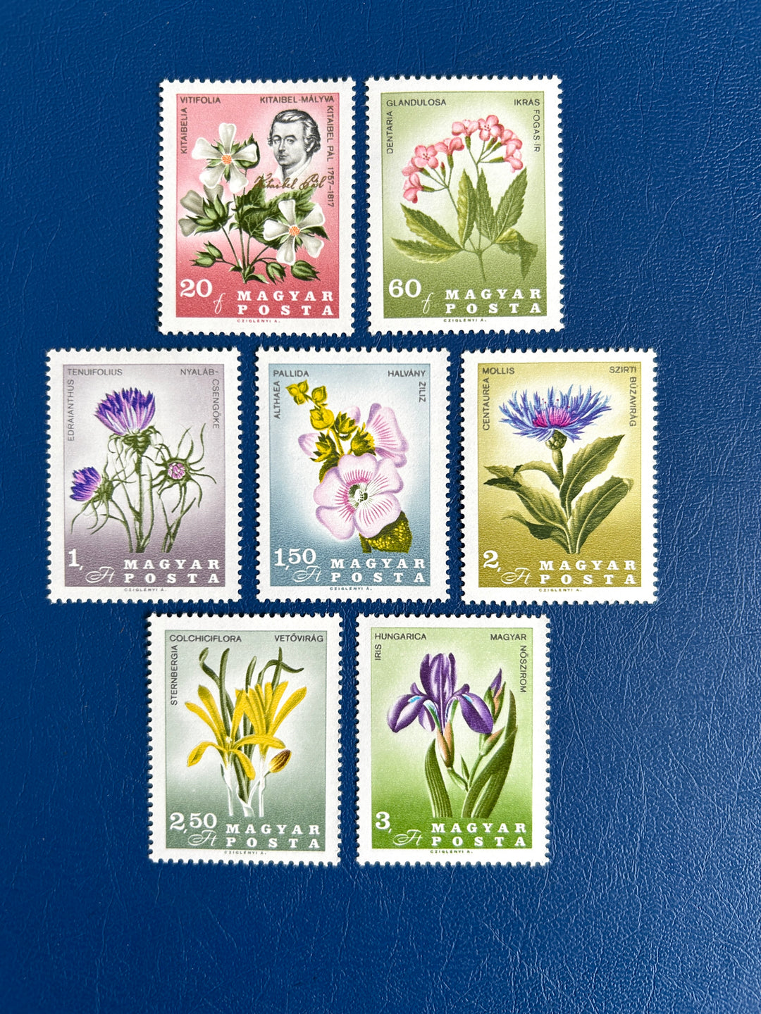 Hungary - 1967 - Kitaibel Pai - MNH**