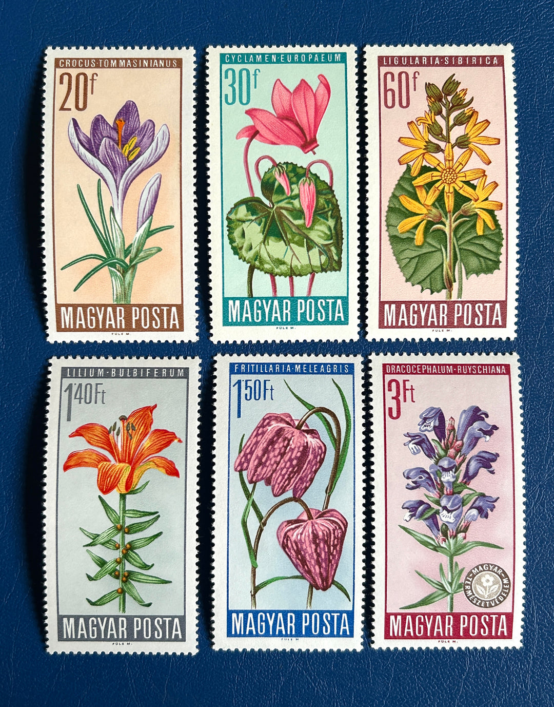 Hungary - 1966 - Flowers - MNH**