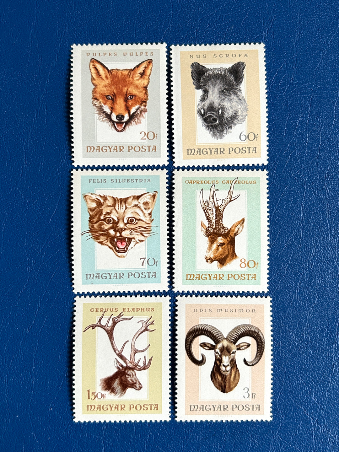 Hungary - 1966 - Fauna - MNH**