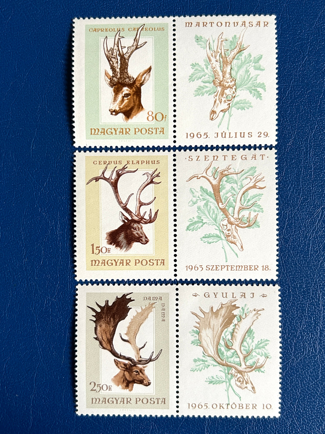Hungary - 1966 - Hunting Trophies - MNH**