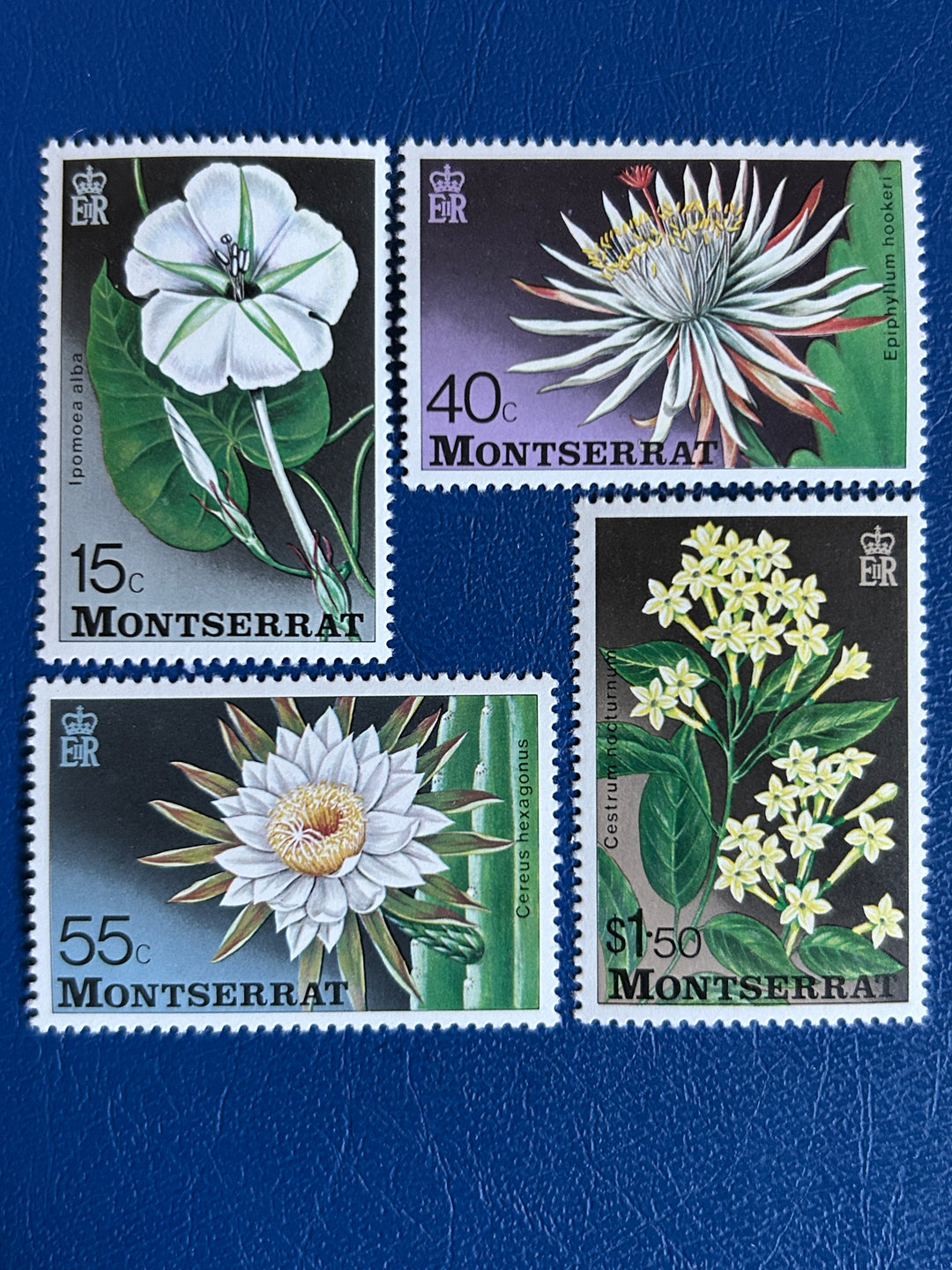 Montserrat- 1977 - Flowers of the Night - MNH**