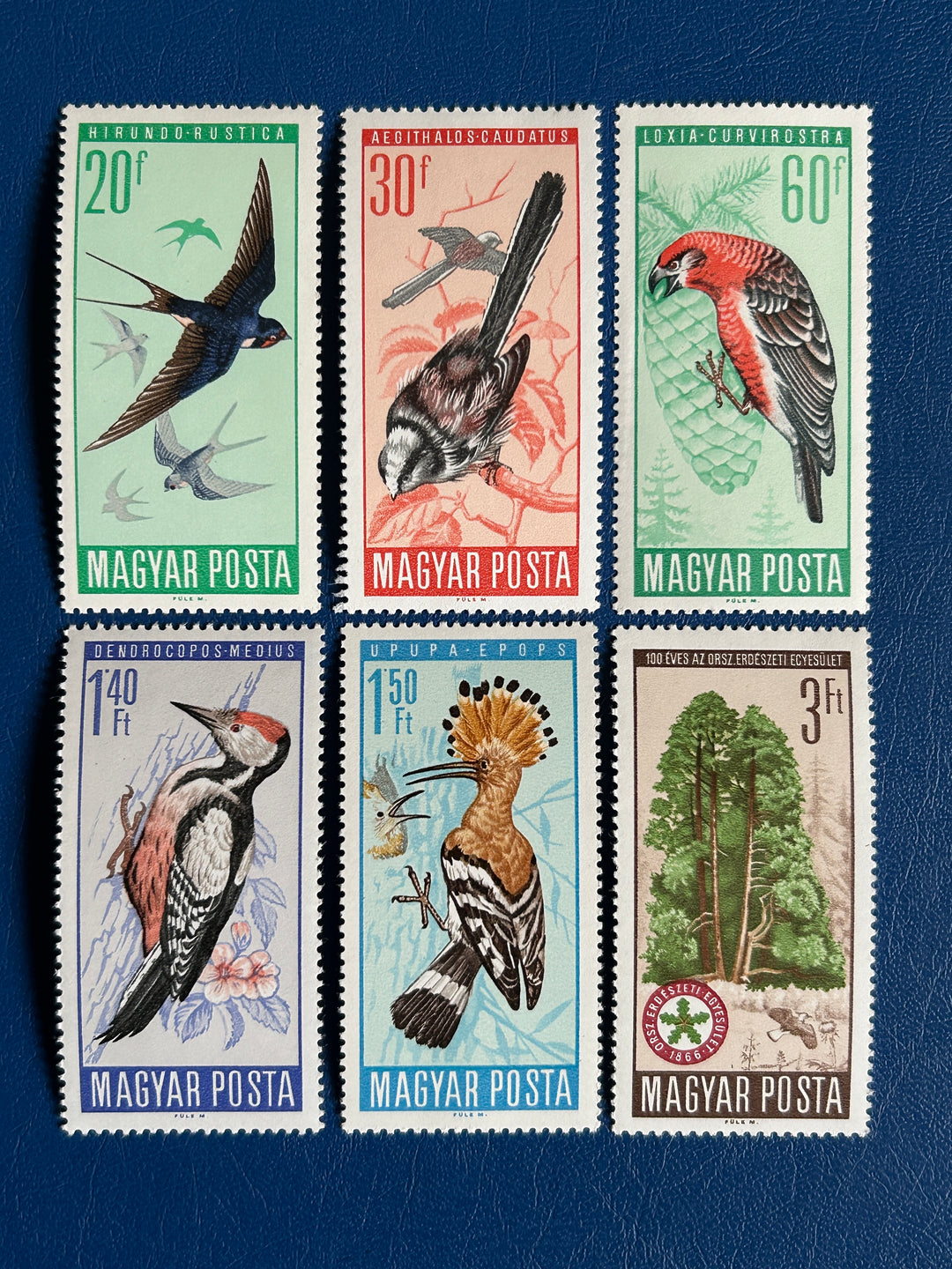 Hungary - 1966 - Birds - MNH**