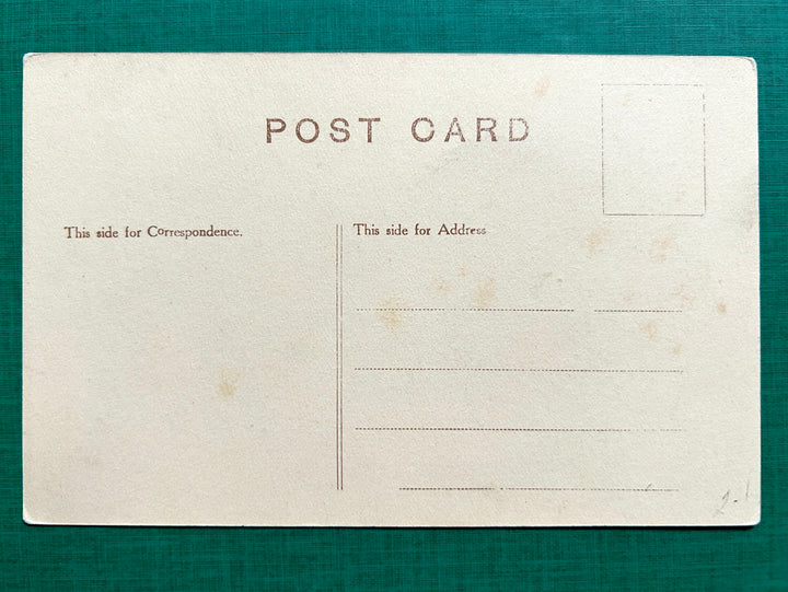 New Year’s Postcard Unused - Vintage/Antique Postcard