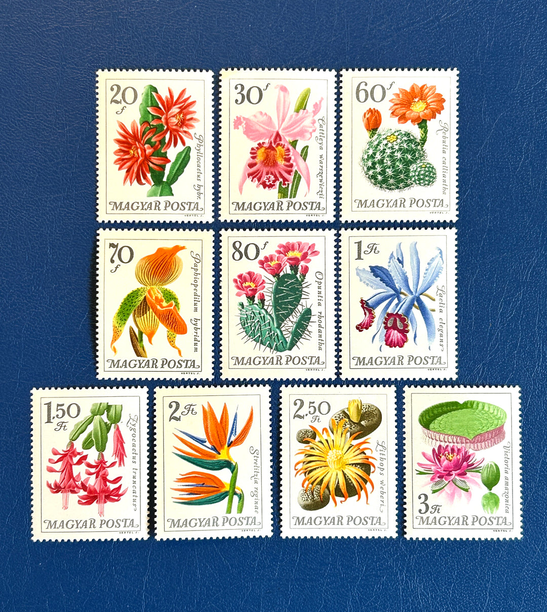 Hungary - 1965 - Cacti Flowers - MNH**