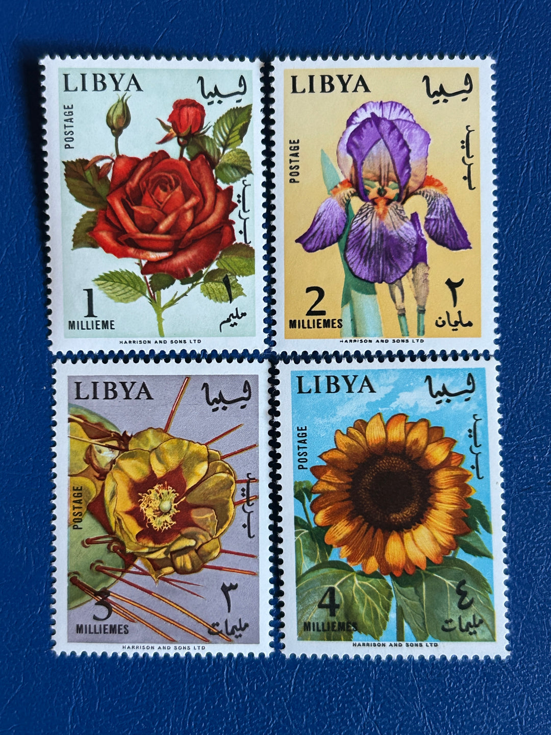 Libya - 1965 - Flowers - MLH*