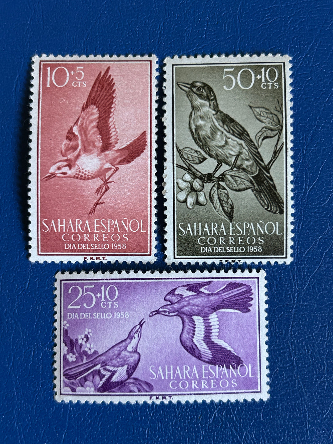 Spanish Sahara - 1958 - Birds - MNH**
