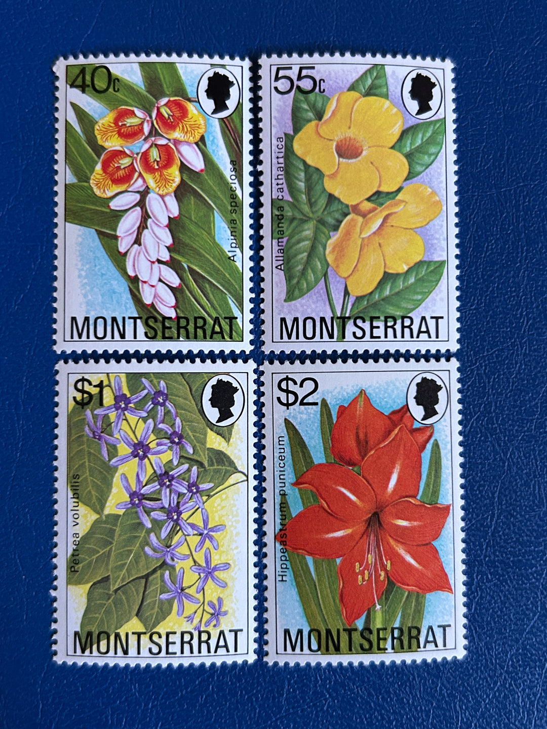 Montserrat- 1977 - Flowers - MNH**