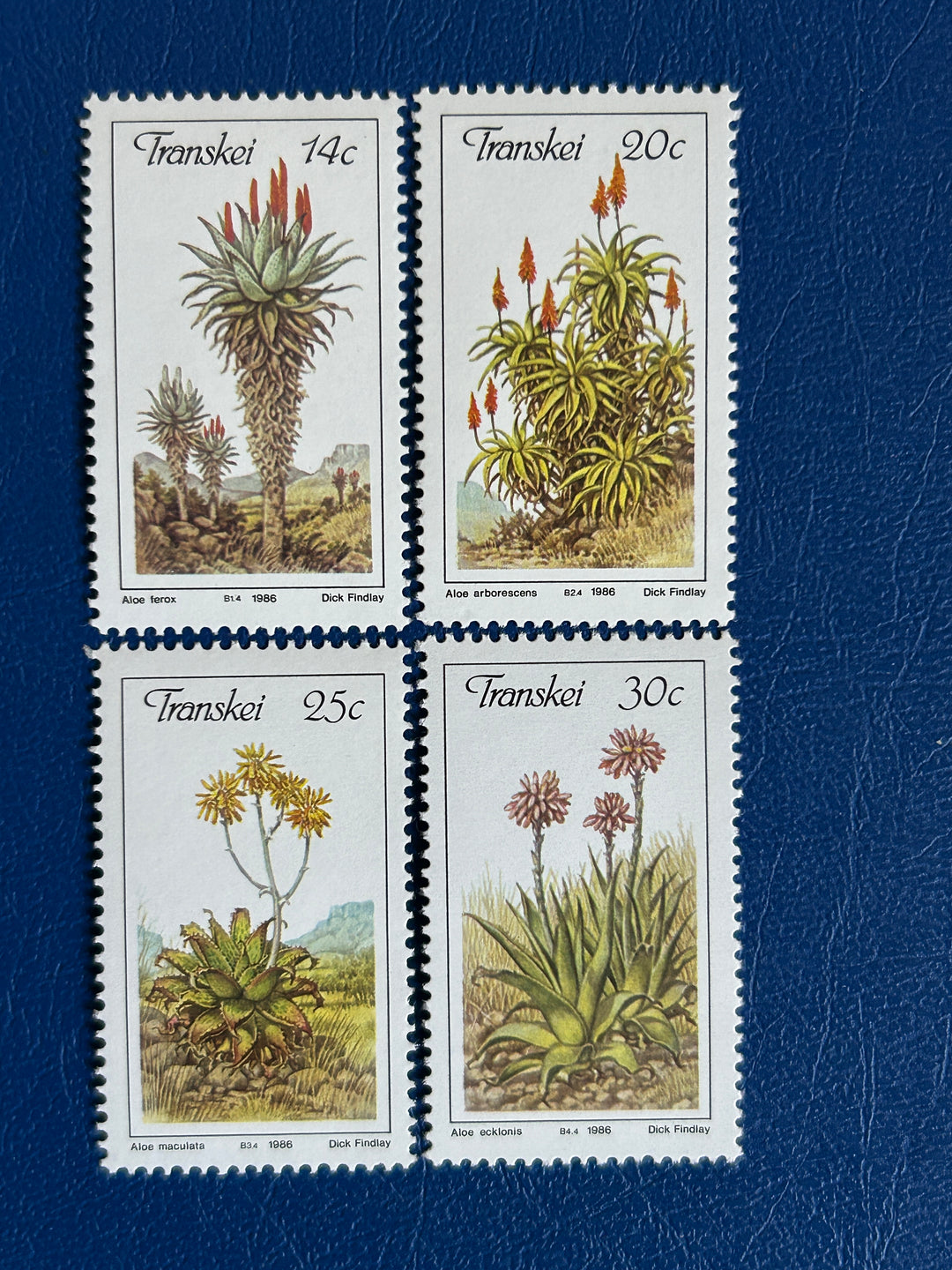 Transkei - 1986 - Aloe - MNH**