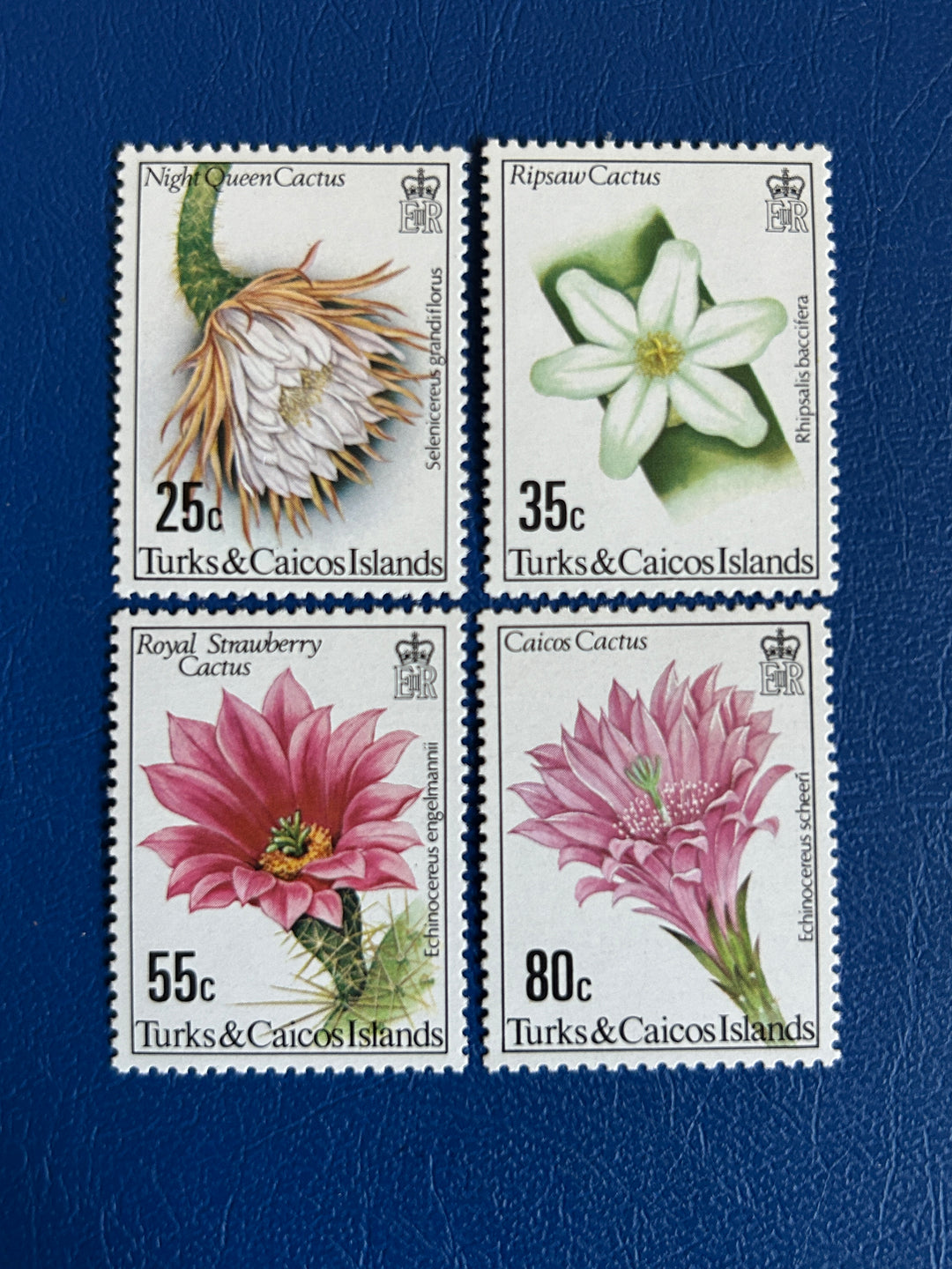 Turks & Caicos - 1981 - Flowers - MNH**