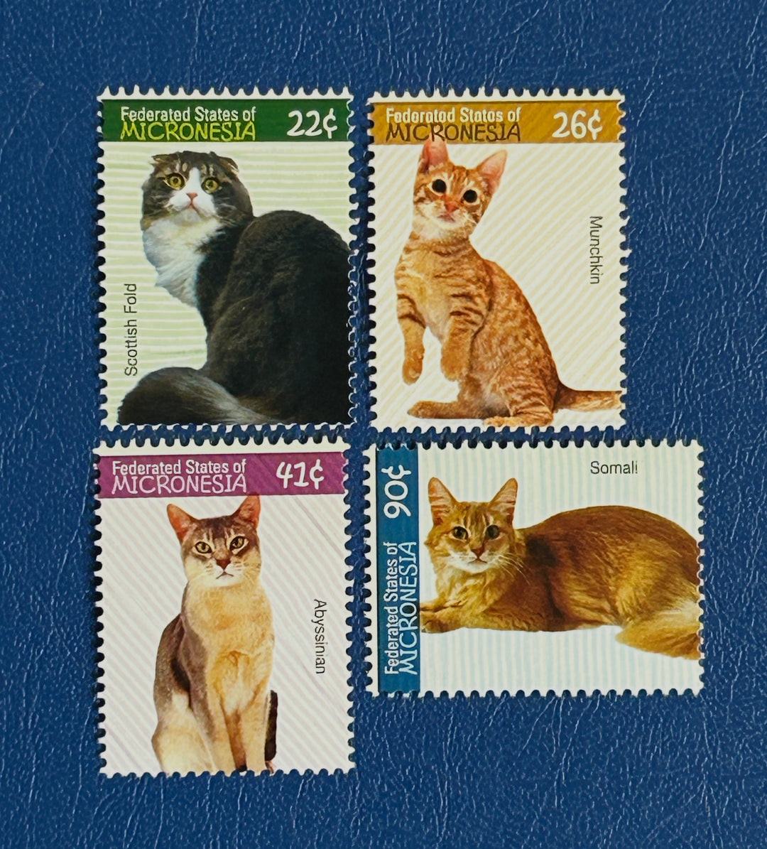 Micronesia - 2007 - Cats (fauna) - MNH**
