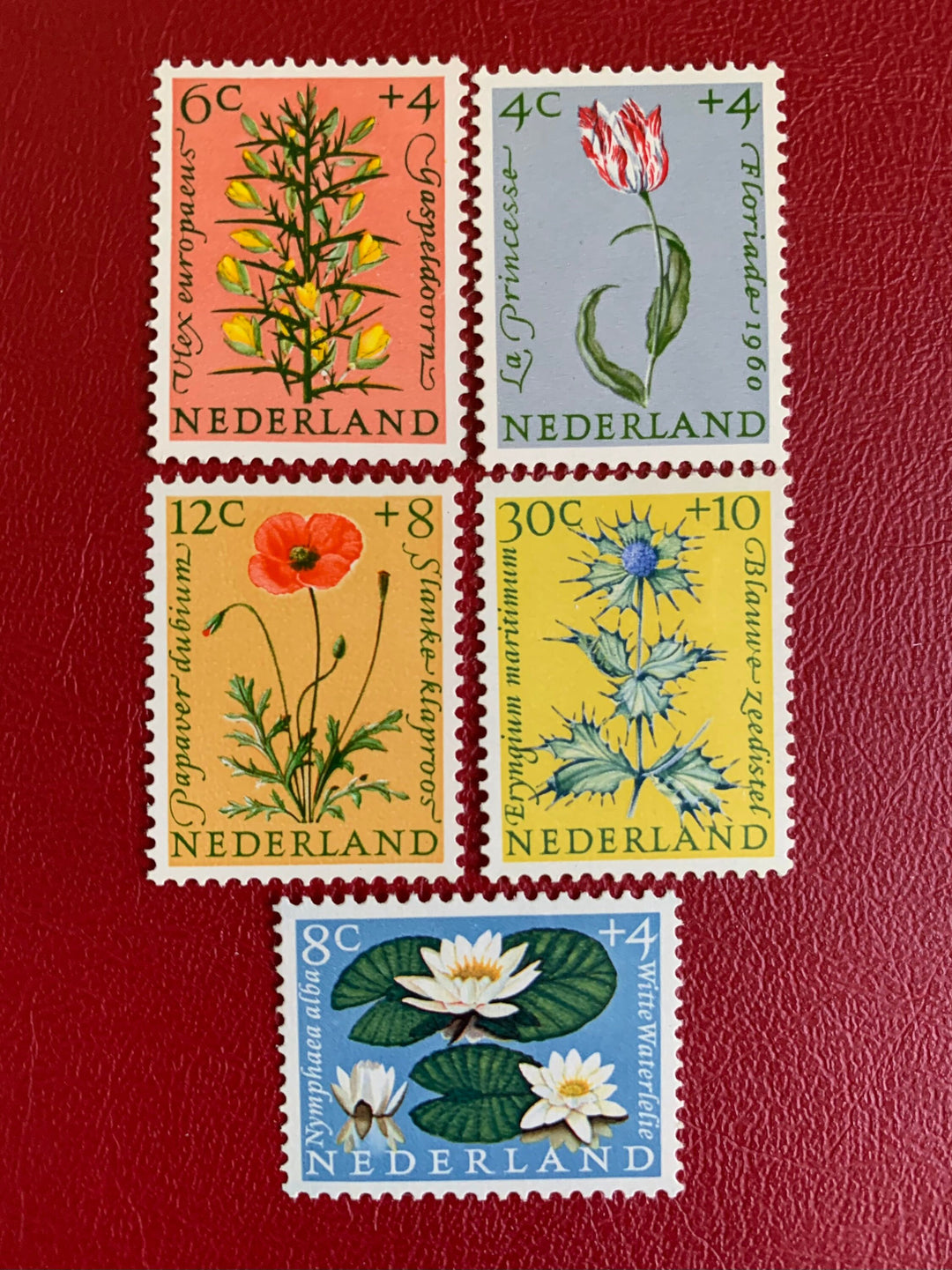 Netherlands - Original Vintage Postage Stamps- 1960 Florals - for the collector, artist or crafter