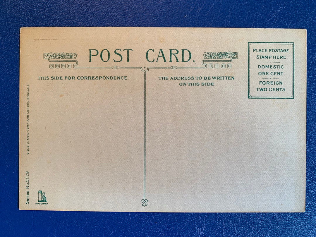 Vintage/Antique Birthday Greeting Postcard - Unused - 1920s Flower & Verse