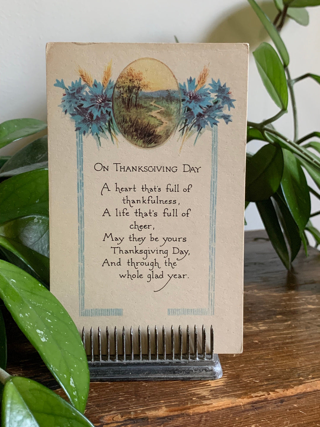 Vintage/Antique Thanksgiving Unused Postcard - Fall, Thanksgiving - for decor, crafting, collecting