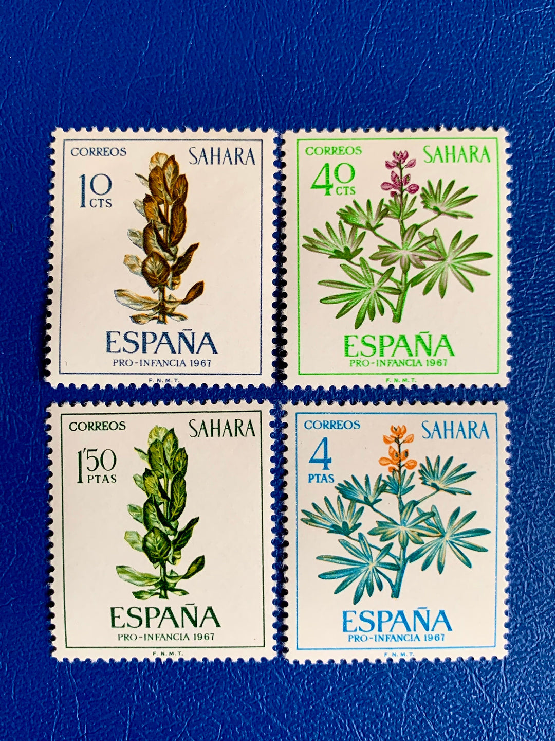 Sp. Sahara - Original Vintage Postage Stamps - 1967 - Plants (Lupin & Ficus) - for the collector, artist or crafter