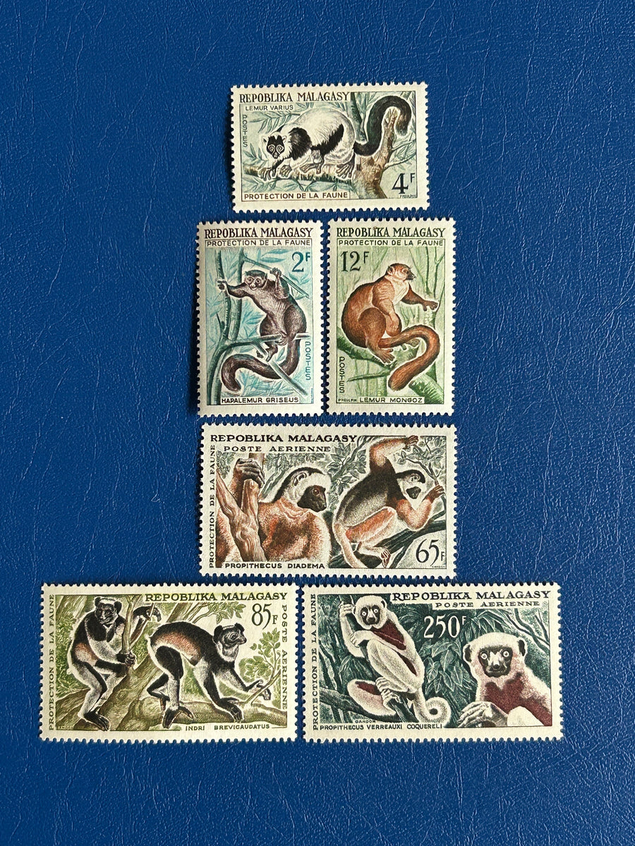 Madagascar - Original Vintage Postage Stamps- 1961 - Wildlife Protection - for the collector, artist or crafter