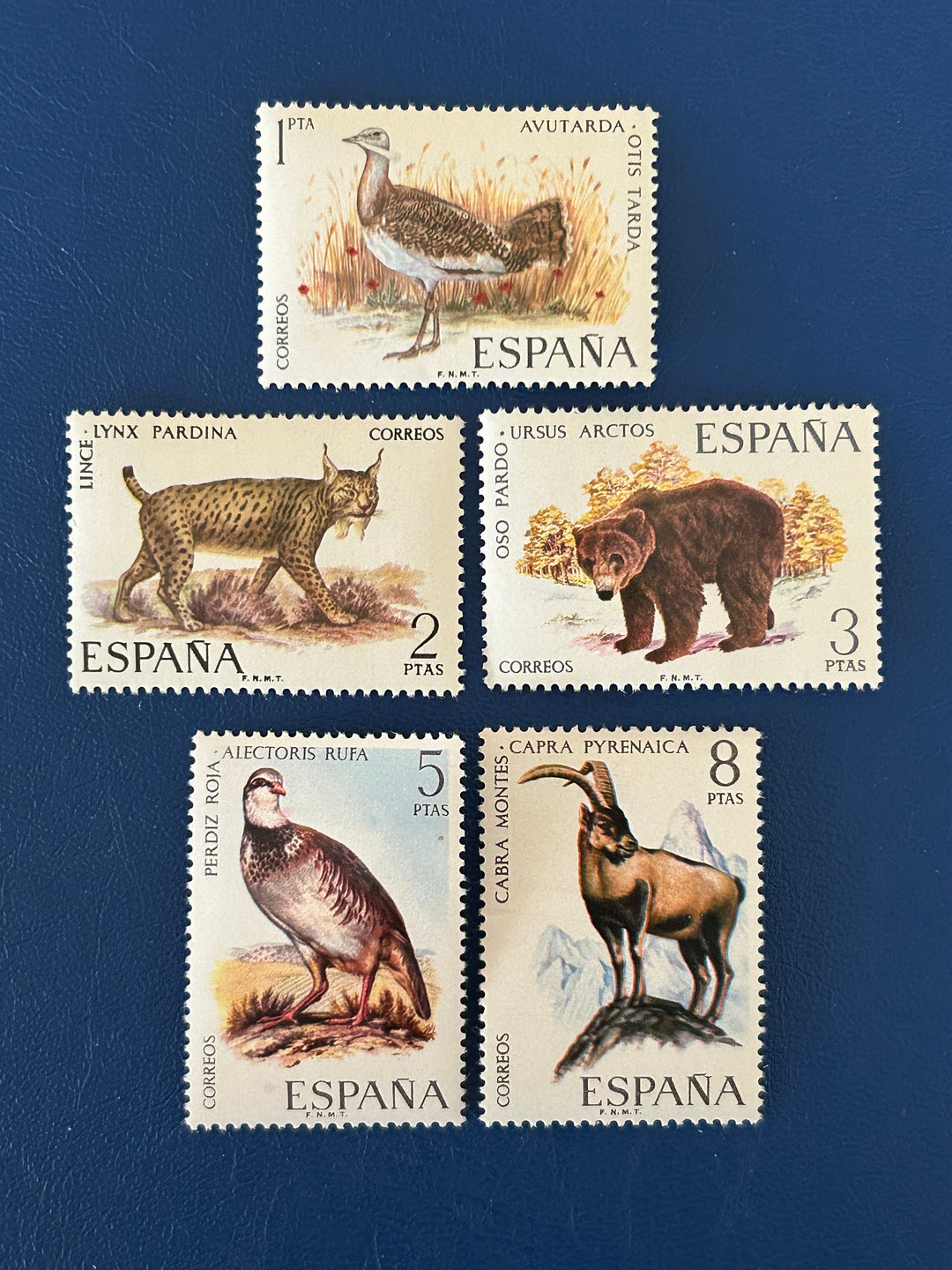 Spain - Original Vintage Postage Stamps- 1971 - Fauna - for the collector, artist or crafter