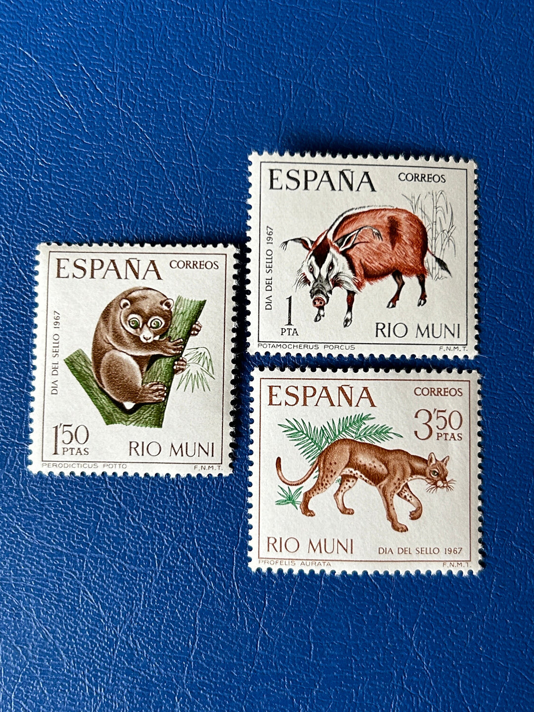 Spanish Rio Muni- Original Vintage Postage Stamps- 1967 - Stamp Day: Fauna - for the collector, artist, crafter