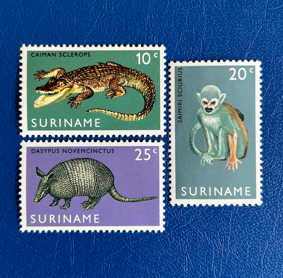 Suriname- Original Vintage Postage Stamps - 1969 - Zoo Paramaribo - for the collector, artist or crafter - scrapbooks, journals, papercrafts