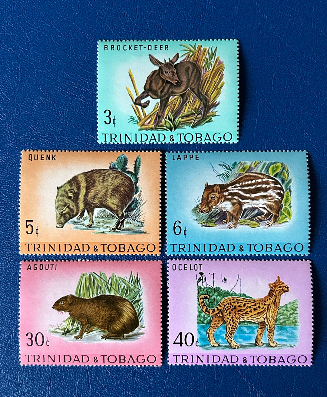 Trinidad & Tobago - Original Vintage Postage Stamps - 1971 - Wildlife - for the collector, artist or crafter