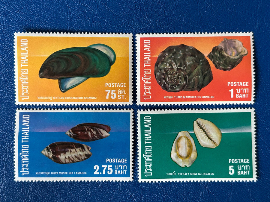 Thailand - Original Vintage Postage Stamps- 1975 - Seashells - for the collector, artist or collector