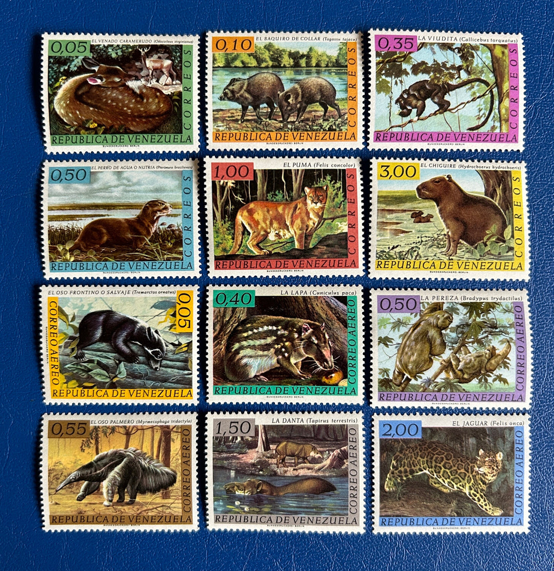 Venezuela - Original Vintage Postage Stamps- 1963 - Mammals - for the collector, artist or crafter