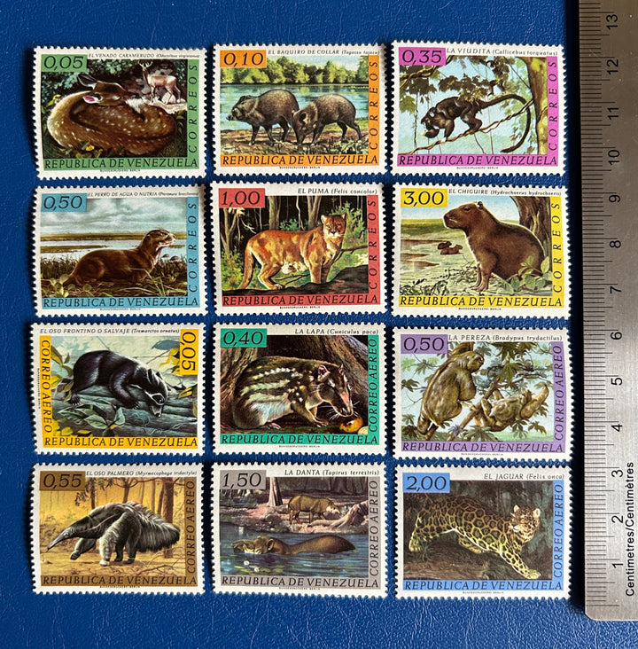 Venezuela - Original Vintage Postage Stamps- 1963 - Mammals - for the collector, artist or crafter