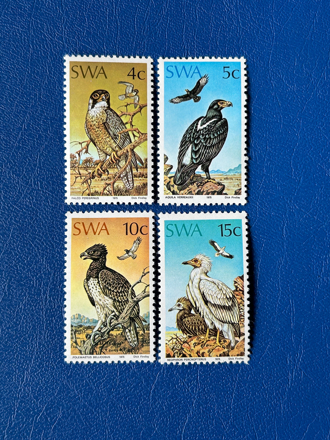 South West Africa - Original Vintage Postage Stamps- 1975 - Birds of Prey - for the collector, artist or crafter