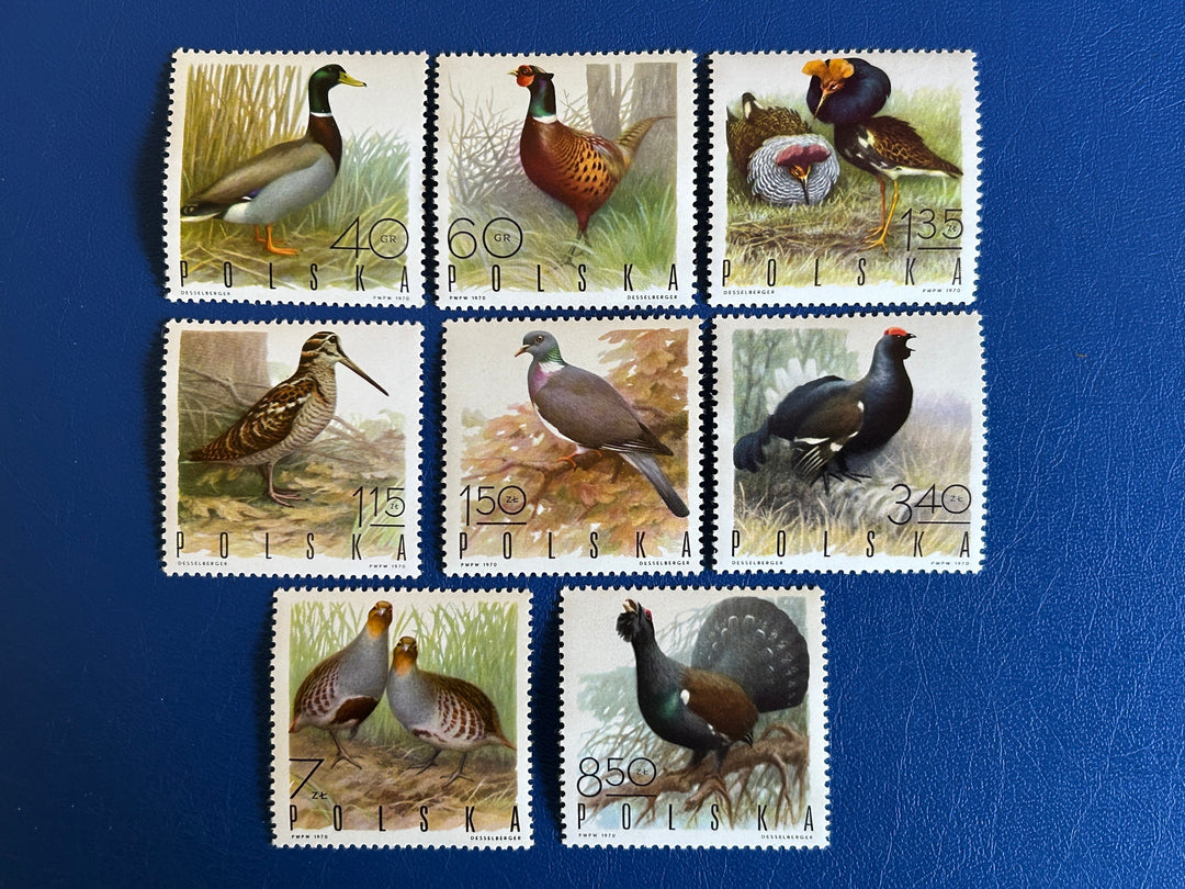 Poland - Original Vintage Postage Stamps - 1970 - Birds - for the collector, artist or crafter