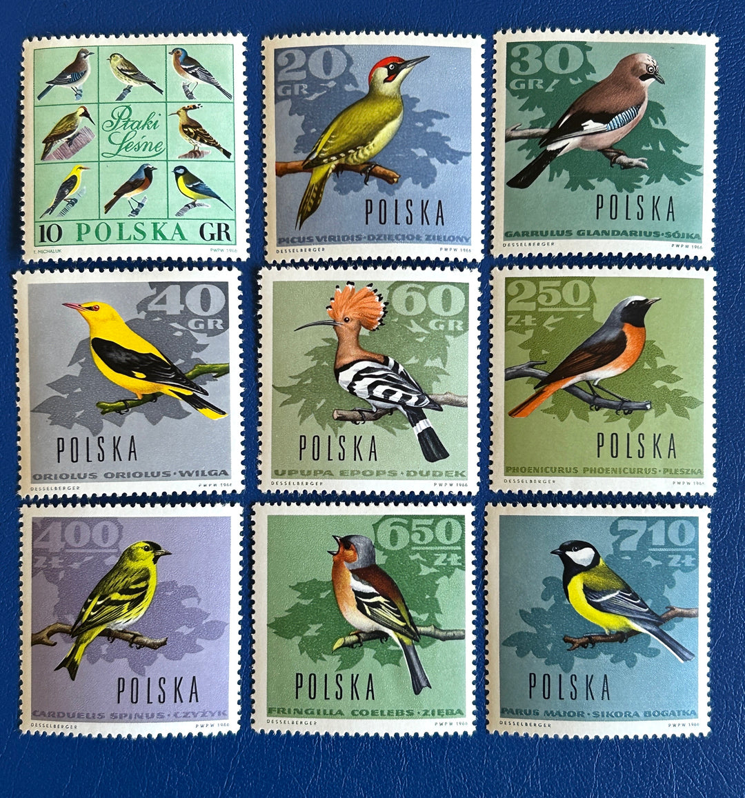 Poland - Original Vintage Postage Stamps - 1966 - Birds - for the collector, artist or crafter