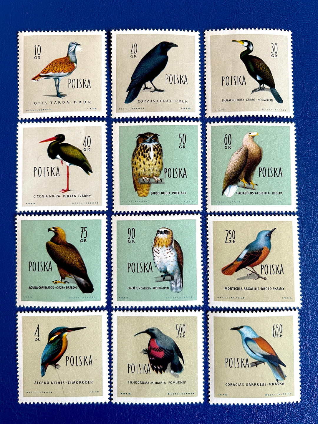 Poland - Original Vintage Postage Stamps - 1960 - Protected Birds - for the collector, artist or crafter