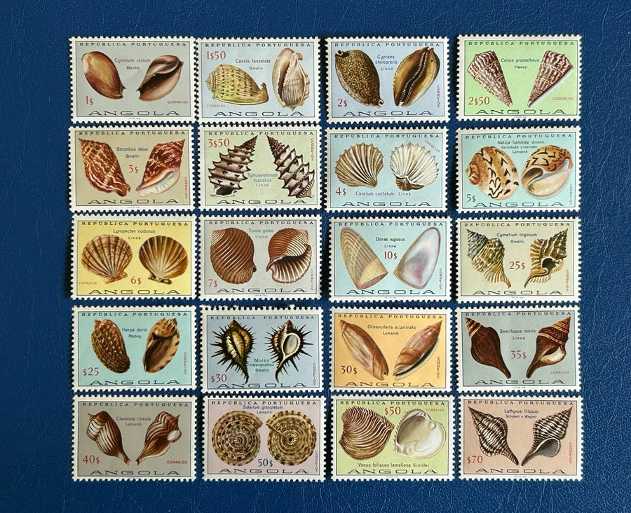 Angola - Original Vintage Postage Stamps- 1974 - Seashells - for the collector, artist or crafter