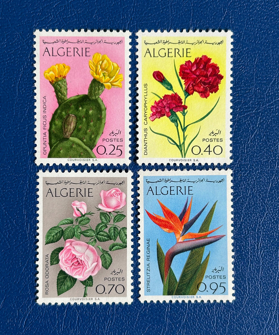 Algeria - Original Vintage Postage Stamps- 1973 - Flora - for the collector, artist or crafter