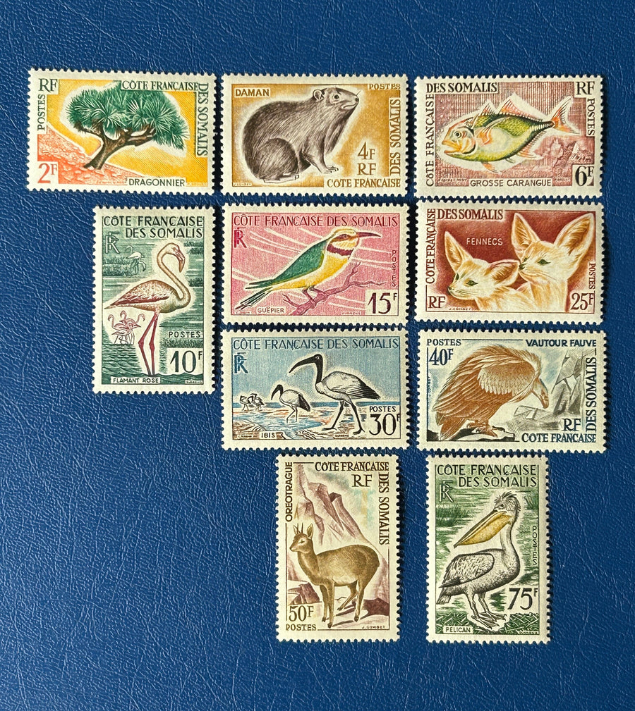 French Somali Coast - Original Vintage Postage Stamps- 1962 - Flora & Fauna - for the collector, artist or crafter