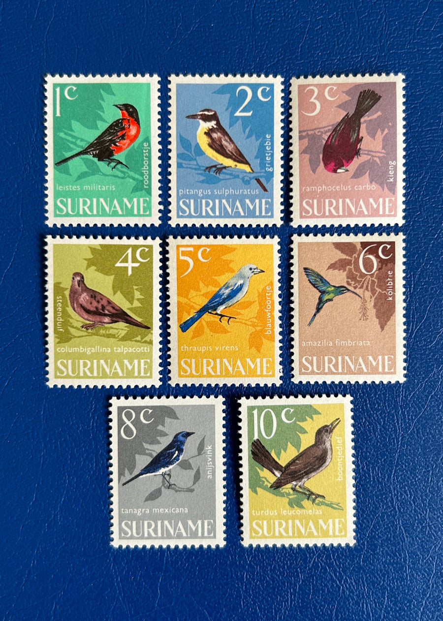 Suriname- Original Vintage Postage Stamps - 1966 Birds - for the collector, artist or crafter - scrapbooks, journals, paper crafts