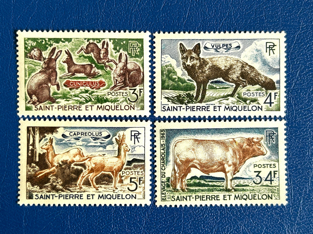 Saint-Pierre et Miquelon - Original Vintage Postage Stamps- 1964 - Animals - for the collector, artist or crafter