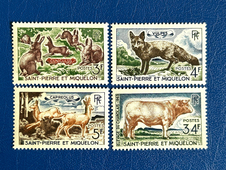 Saint-Pierre et Miquelon - Original Vintage Postage Stamps- 1964 - Animals - for the collector, artist or crafter