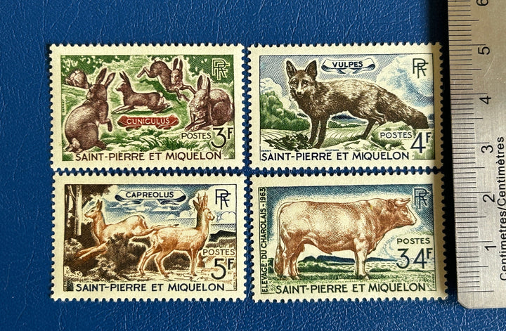 Saint-Pierre et Miquelon - Original Vintage Postage Stamps- 1964 - Animals - for the collector, artist or crafter