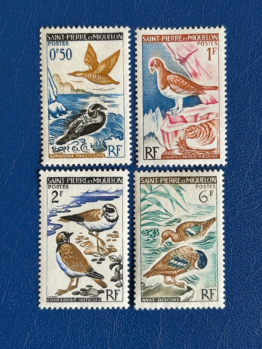 Saint-Pierre et Miquelon - Original Vintage Postage Stamps- 1963 - Birds - for the collector, artist or crafter