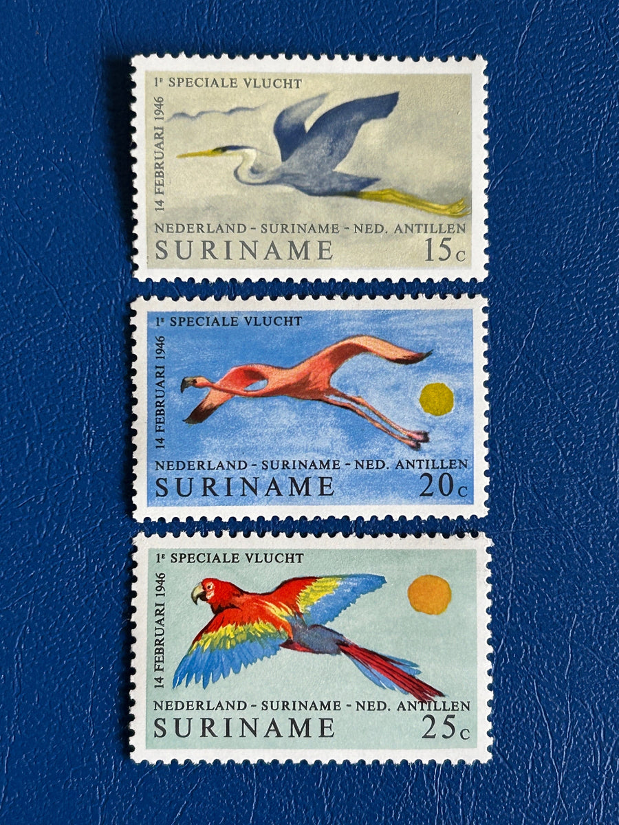 Suriname- Original Vintage Postage Stamps - 1971 - Birds: 25 Years Air Service - for the collector, artist or crafter