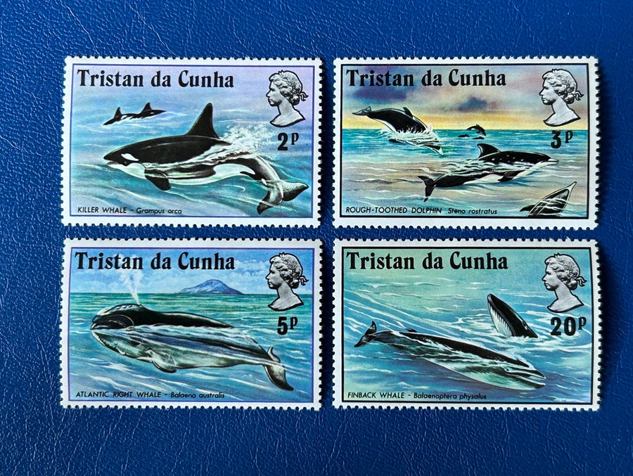 Tristan de Cunha - Original Vintage Postage Stamps - 1975 - Aquatic Animals - for the collector, artist or crafter
