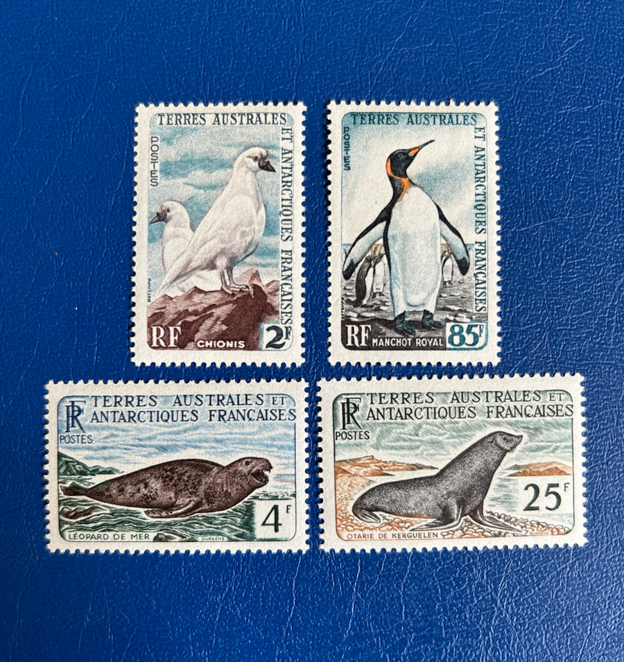 French Southern & Antarctic Lands - Original Vintage Postage Stamps- 1960 - Fauna - for the collector, artist or crafter